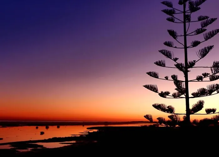 Golden Refugio Andorinhas Apartman